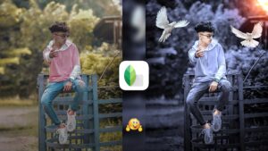 Snapseed Grey And Bird Effect Photo Editing Tricks 🔥