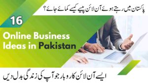 Top 16 Highest Earning Online Business Ideas in Pakistan